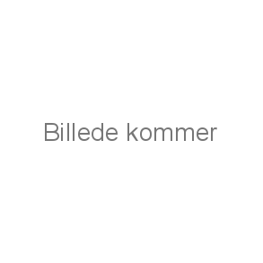 Sko